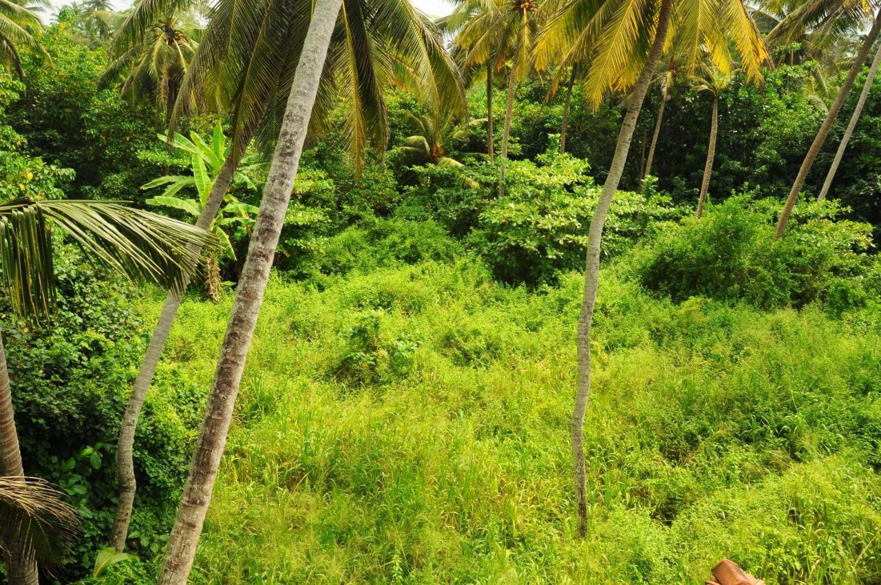Deutsch Lanka Hotel Telwatta Exteriér fotografie